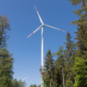 Windkraftrad im Hintergrund mit Wald im vordergrund